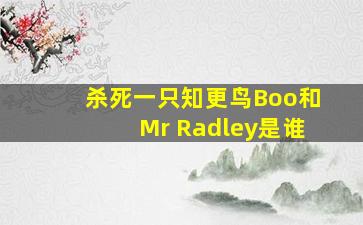 杀死一只知更鸟Boo和Mr Radley是谁